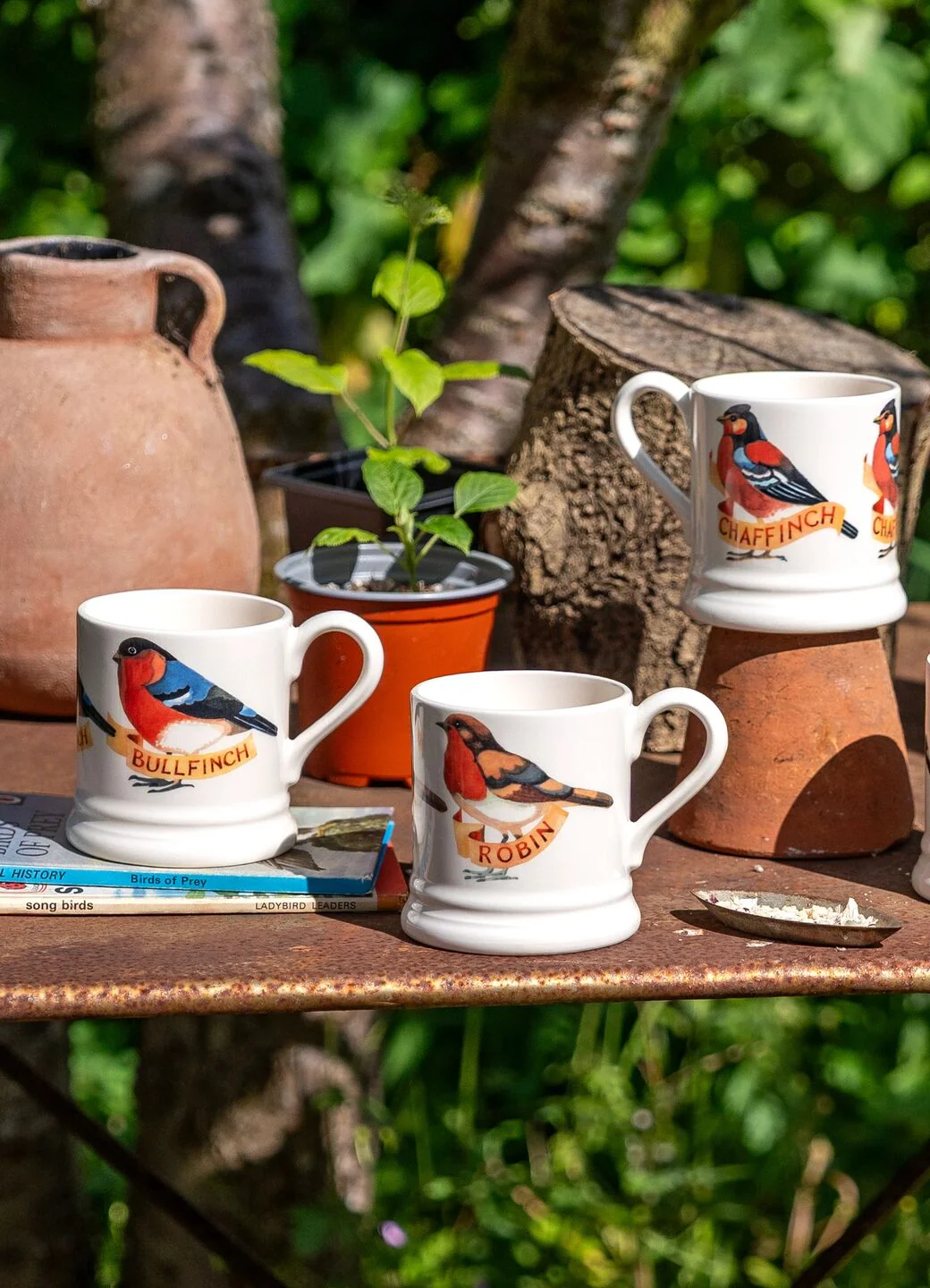 Seconds Bullfinch 1/2 Pint Mug - Image 6